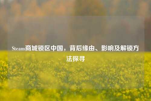 Steam商城锁区中国,背后缘由、影响及解锁方法探寻