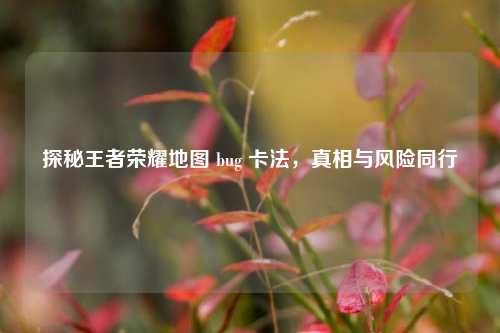探秘王者荣耀地图 bug 卡法，真相与风险同行