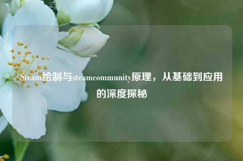 Steam绘制与steamcommunity原理,从基础到应用的深度探秘