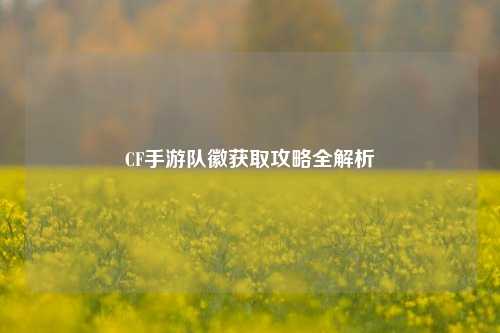 CF手游队徽获取攻略全解析