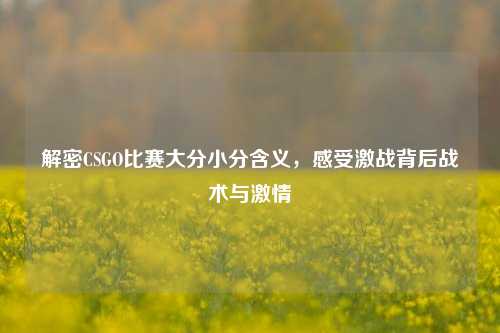 解密CSGO比赛大分小分含义,感受激战背后战术与激情
