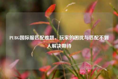 PUBG国际服匹配难题，玩家的困扰与匹配不到人解决期待