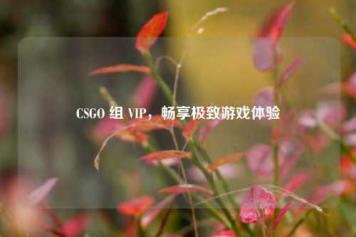 CSGO 组 VIP,畅享极致游戏体验