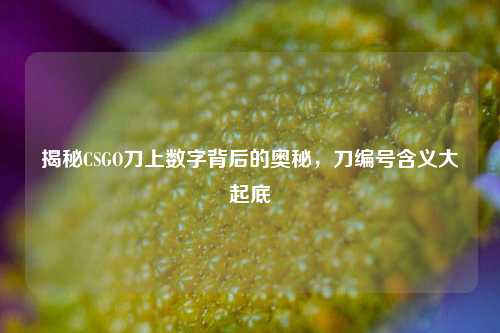 揭秘CSGO刀上数字背后的奥秘,刀编号含义大起底