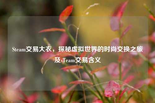 Steam交易大衣，探秘虚拟世界的时尚交换之旅及sTeam交易含义