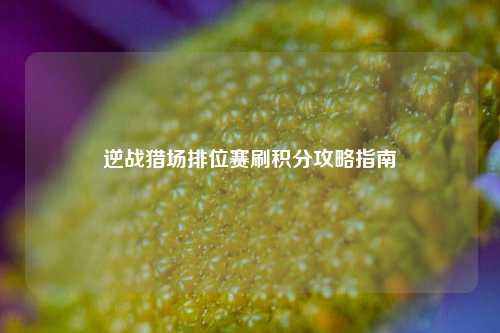 逆战猎场排位赛刷积分攻略指南