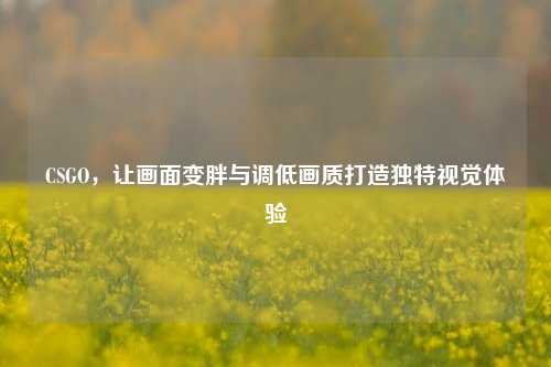 CSGO,让画面变胖与调低画质打造独特视觉体验