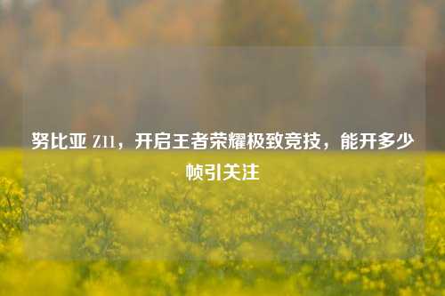 努比亚 Z11,开启王者荣耀极致竞技,能开多少帧引关注