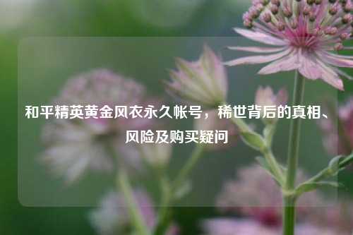 和平精英黄金风衣永久帐号，稀世背后的真相、风险及购买疑问