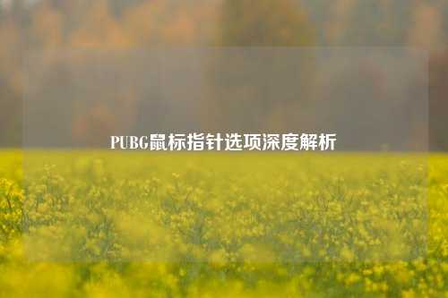 PUBG鼠标指针选项深度解析