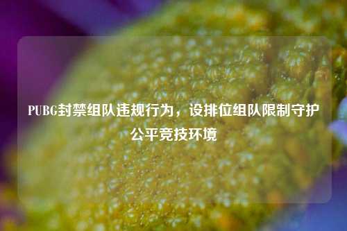 PUBG封禁组队违规行为,设排位组队限制守护公平竞技环境