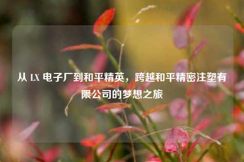 从 LX 电子厂到和平精英,跨越和平精密注塑有限公司的梦想之旅