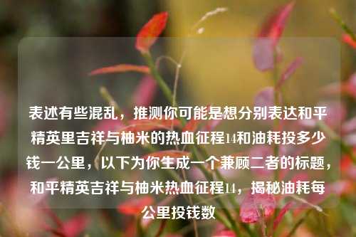 表述有些混乱,推测你可能是想分别表达和平精英里吉祥与柚米的热血征程14和油耗投多少钱一公里,以下为你生成一个兼顾二者的标题,和平精英吉祥与柚米热血征程14,揭秘油耗每公里投钱数