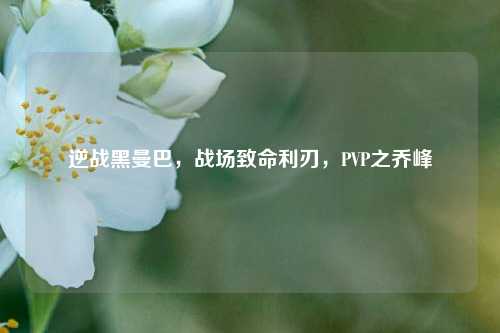 逆战黑曼巴，战场致命利刃，PVP之乔峰