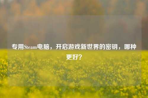 专用Steam电脑,开启游戏新世界的密钥,哪种更好?