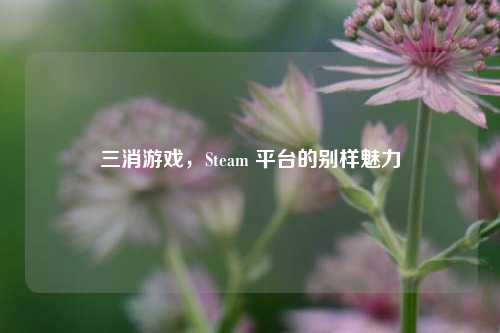 三消游戏，Steam 平台的别样魅力