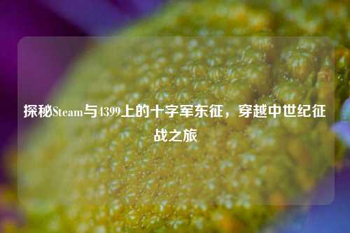 探秘Steam与4399上的十字军东征，穿越中世纪征战之旅
