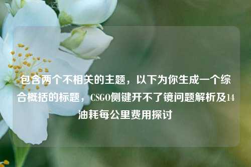 包含两个不相关的主题,以下为你生成一个综合概括的标题,CSGO侧键开不了镜问题解析及14油耗每公里费用探讨