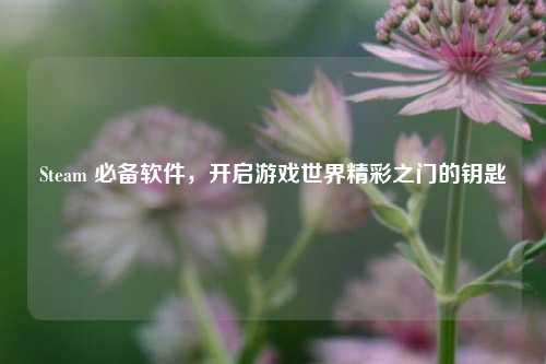 Steam 必备软件，开启游戏世界精彩之门的钥匙