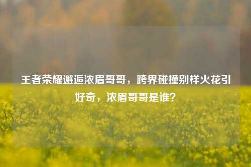 王者荣耀邂逅浓眉哥哥，跨界碰撞别样火花引好奇，浓眉哥哥是谁？