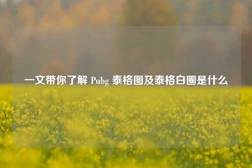 一文带你了解 Pubg 泰格图及泰格白圈是什么