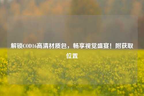解锁COD16高清材质包,畅享视觉盛宴!附获取位置