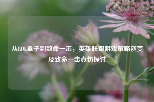 从LOL盒子到致命一击,英雄联盟游戏策略演变及致命一击真伤探讨