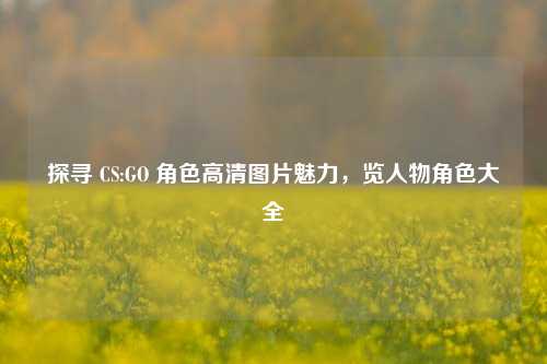 探寻 CS:GO 角色高清图片魅力,览人物角色大全