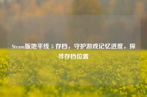 Steam版地平线 5 存档，守护游戏记忆进度，探寻存档位置