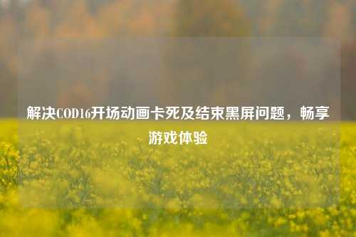 解决COD16开场动画卡死及结束黑屏问题,畅享游戏体验