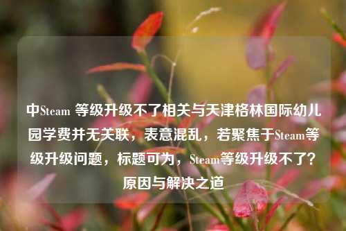 中Steam 等级升级不了相关与天津格林国际幼儿园学费并无关联,表意混乱,若聚焦于Steam等级升级问题,标题可为,Steam等级升级不了?原因与解决之道