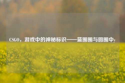 CSGO，游戏中的神秘标识——蓝圈圈与圆圈中y