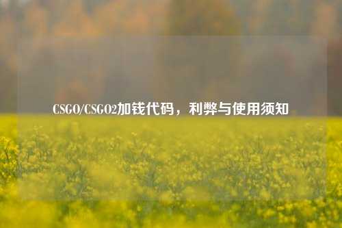CSGO/CSGO2加钱代码,利弊与使用须知
