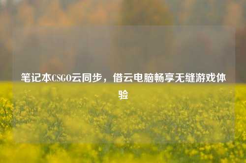 笔记本CSGO云同步,借云电脑畅享无缝游戏体验
