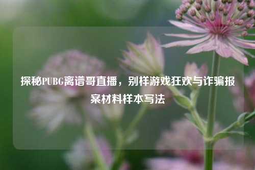 探秘PUBG离谱哥直播，别样游戏狂欢与诈骗报案材料样本写法