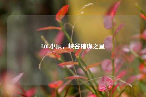 LOL小辰,峡谷璀璨之星