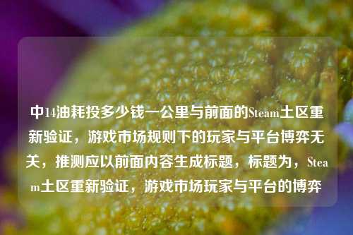 中14油耗投多少钱一公里与前面的Steam土区重新验证,游戏市场规则下的玩家与平台博弈无关,推测应以前面内容生成标题,标题为,Steam土区重新验证,游戏市场玩家与平台的博弈