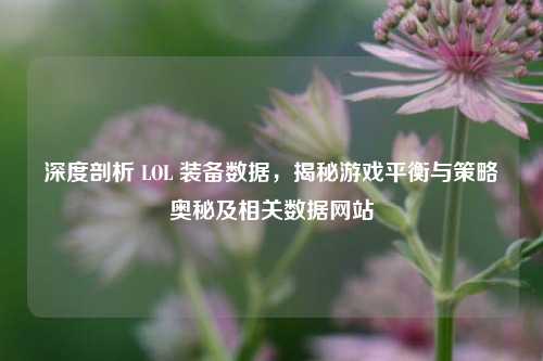 深度剖析 LOL 装备数据,揭秘游戏平衡与策略奥秘及相关数据网站