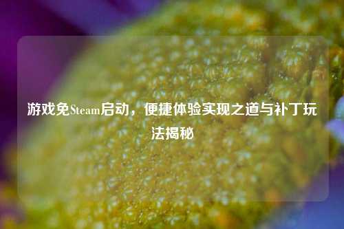 游戏免Steam启动,便捷体验实现之道与补丁玩法揭秘