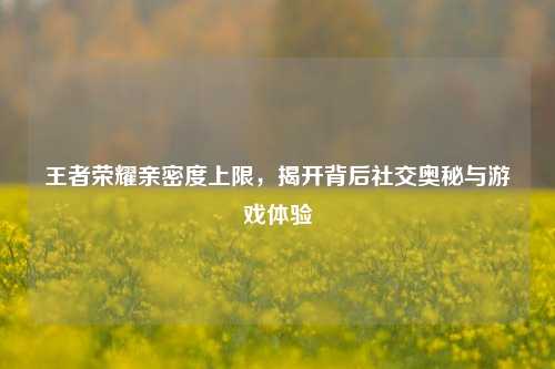 王者荣耀亲密度上限，揭开背后社交奥秘与游戏体验