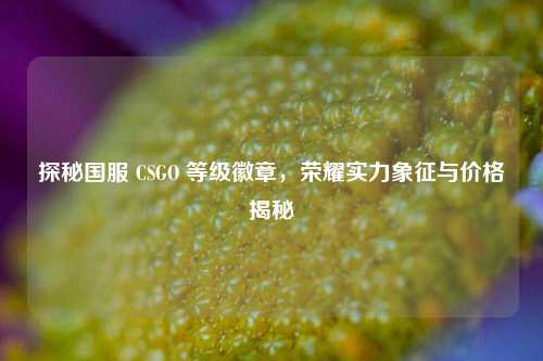 探秘国服 CSGO 等级徽章,荣耀实力象征与价格揭秘