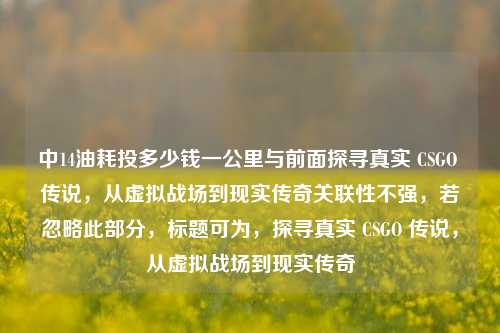 中14油耗投多少钱一公里与前面探寻真实 CSGO 传说,从虚拟战场到现实传奇关联性不强,若忽略此部分,标题可为,探寻真实 CSGO 传说,从虚拟战场到现实传奇