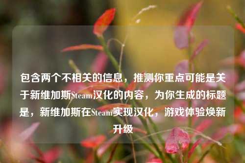 包含两个不相关的信息，推测你重点可能是关于新维加斯Steam汉化的内容，为你生成的标题是，新维加斯在Steam实现汉化，游戏体验焕新升级