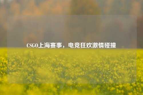 CSGO上海赛事,电竞狂欢激情碰撞