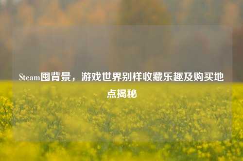 Steam囤背景，游戏世界别样收藏乐趣及购买地点揭秘