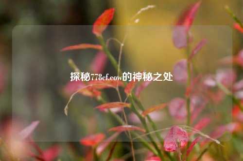 探秘778cf.cow的神秘之处