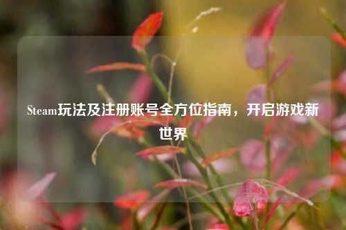 Steam玩法及注册账号全方位指南，开启游戏新世界