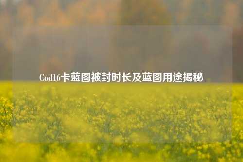 Cod16卡蓝图被封时长及蓝图用途揭秘