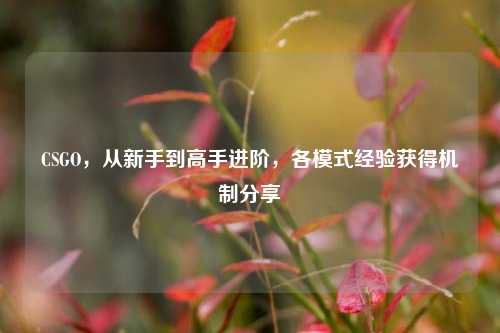 CSGO，从新手到高手进阶，各模式经验获得机制分享