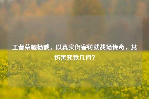 王者荣耀杨戬,以真实伤害铸就战场传奇,其伤害究竟几何?